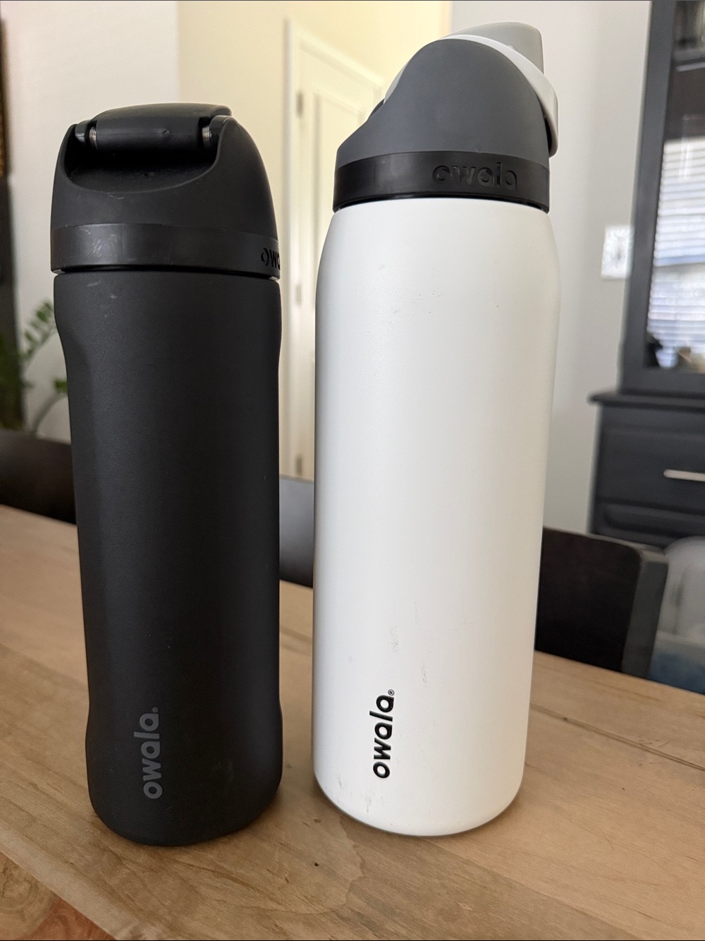 Owala Insulated Water Bottle - White with Gray Lid
